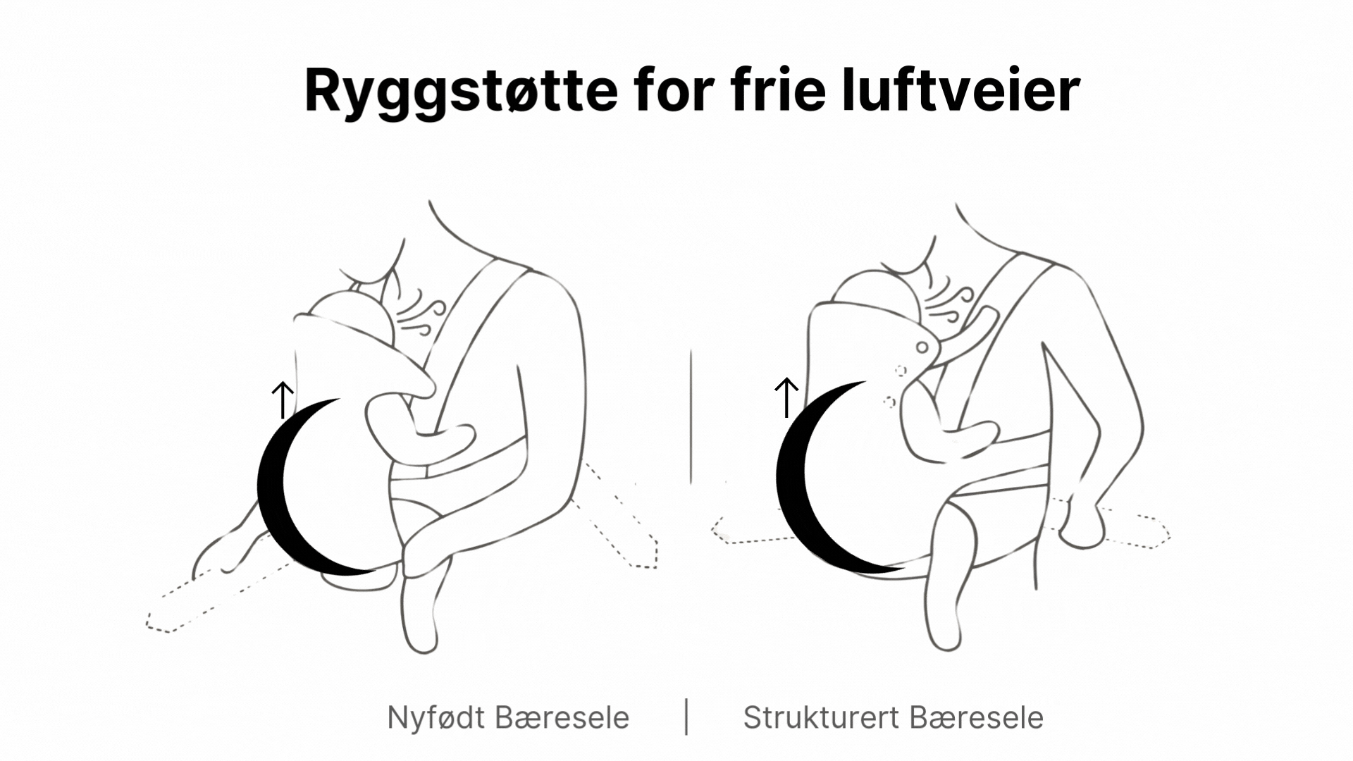 babybjorn baeresele ergonomisk ryggstotte