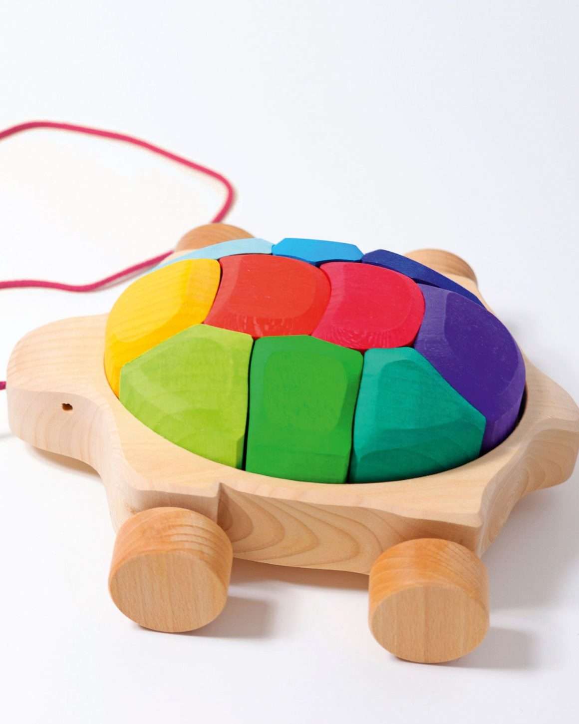 rainbow turtle in warehouse